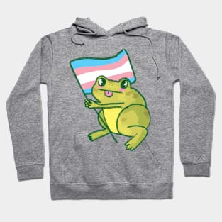 frogs for trans rights Hoodie